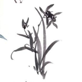 Linux服務器 屏蔽國外IP訪問親測可用