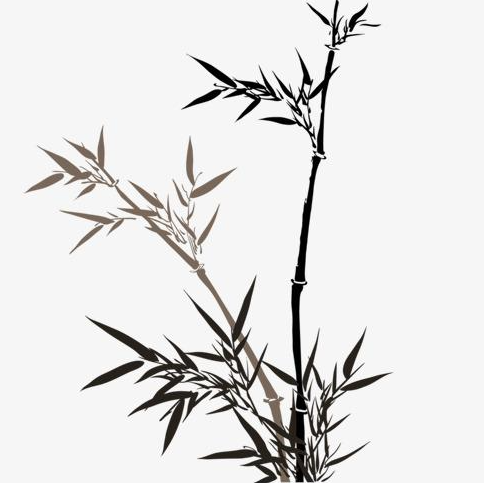 一分鐘帶你快速了解js面向對象是什么？