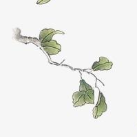 XHTML與HTML有什么區別;