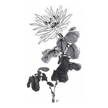 【前端面試十三】CSS權重如何計算？