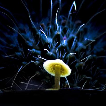 HTML語義化是什么意思