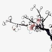 手動(dòng)使用acme.sh以DNS方式申請(qǐng)免費(fèi)SSL證書